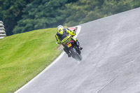 PJ-Motorsport-Photography-2020;anglesey;brands-hatch;cadwell-park;croft;donington-park;enduro-digital-images;event-digital-images;eventdigitalimages;mallory;no-limits;oulton-park;peter-wileman-photography;racing-digital-images;silverstone;snetterton;trackday-digital-images;trackday-photos;vmcc-banbury-run;welsh-2-day-enduro